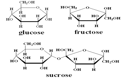 sugar types